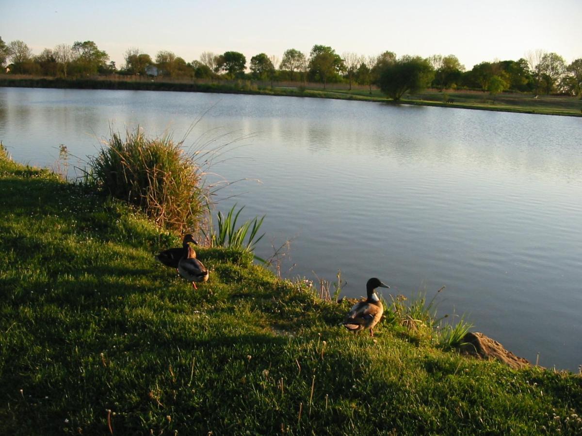 Camping Du Lac De Saujon Esterno foto